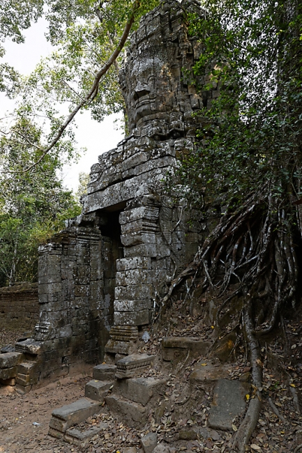 Ta Phrom et environs-010